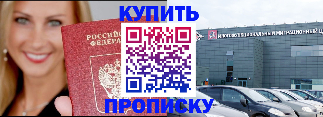 прописка поиск в Алейске